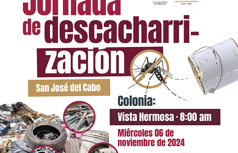 Salud Estatal y Ayuntamiento unen fuerzas para combatir el dengue