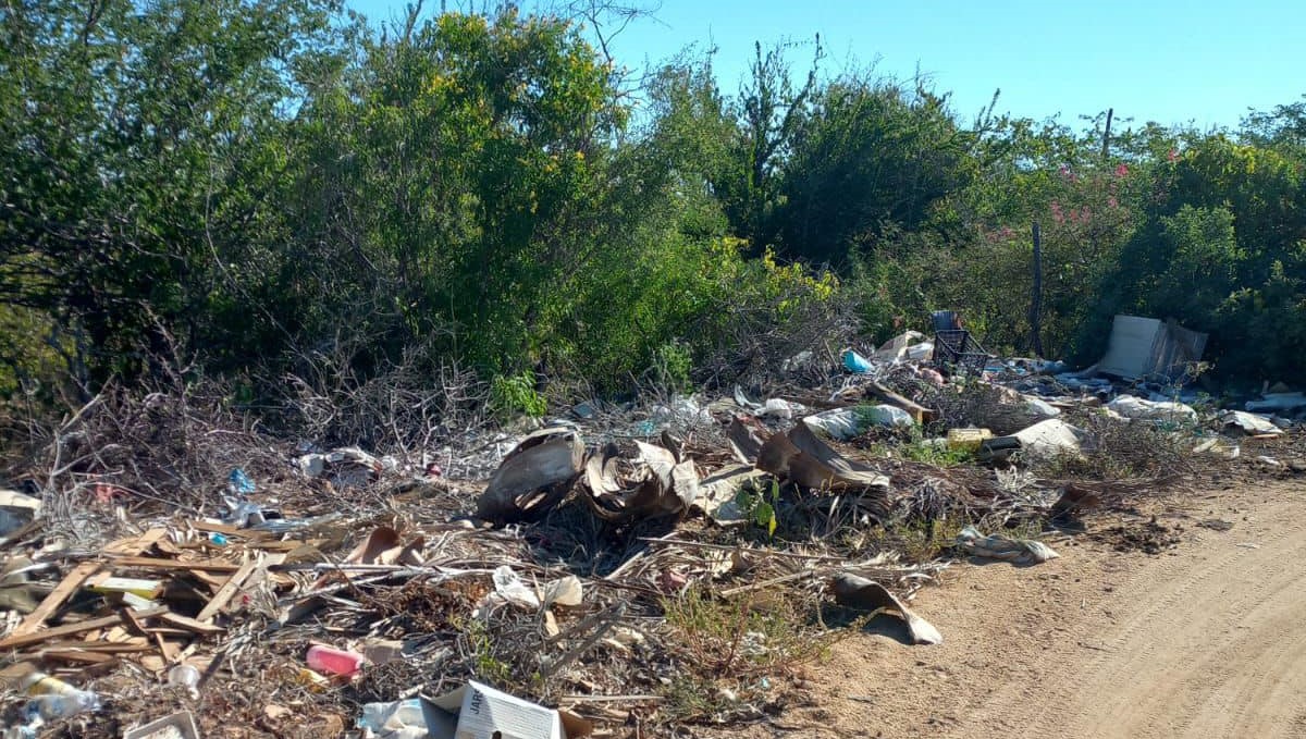 Los Cabos sancionará desechos ilegales para proteger el medio ambiente