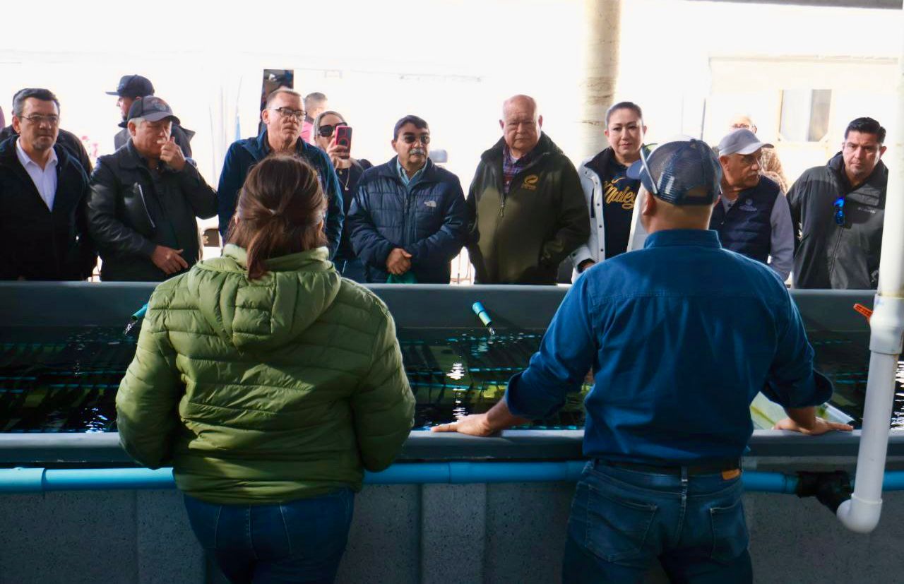 Gobernador y Conapesca unen fuerzas por la pesca sustentable en BCS 🤝