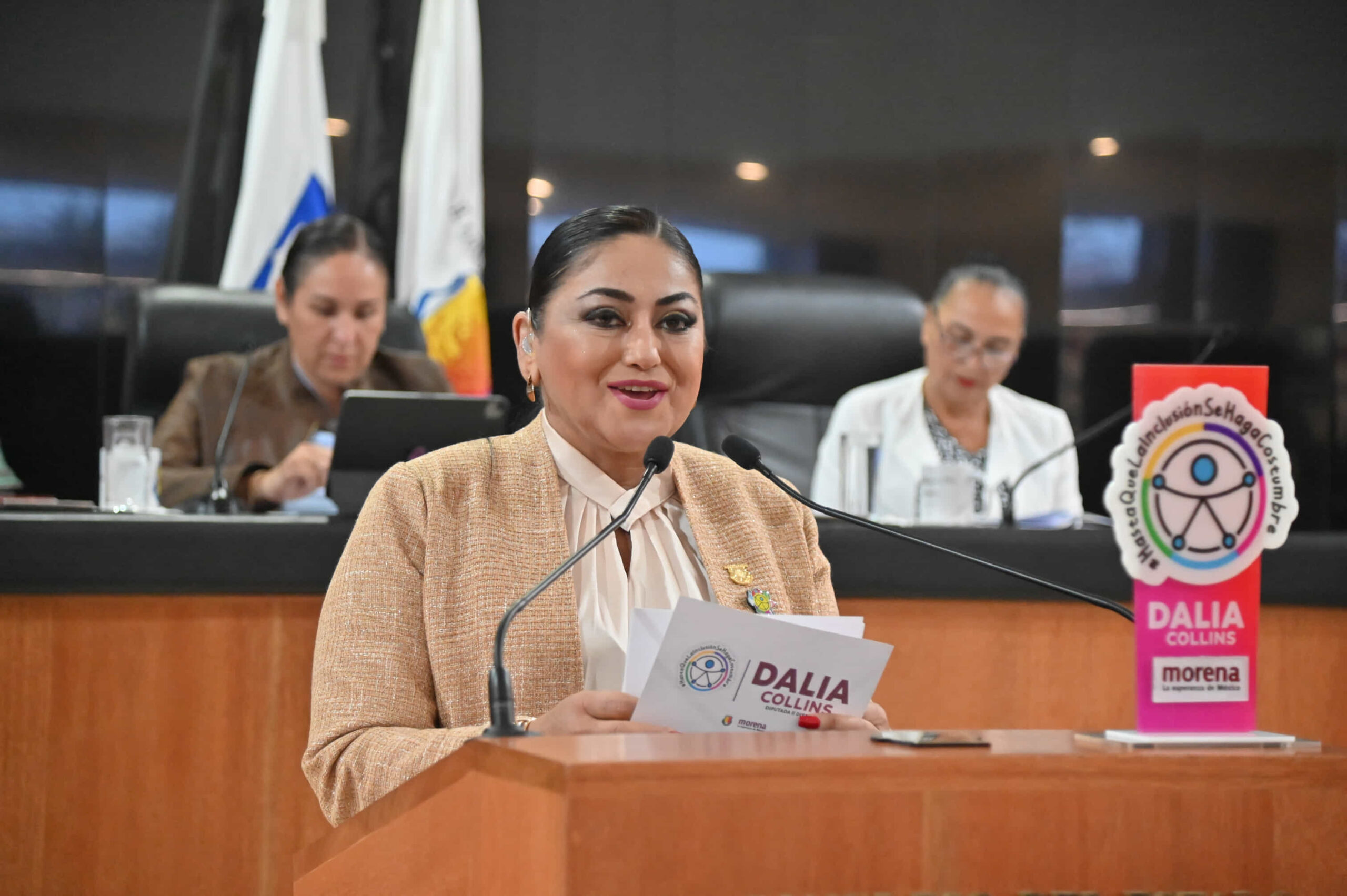 Presentan reformas para garantizar espacios recreativos a personas con discapacidad