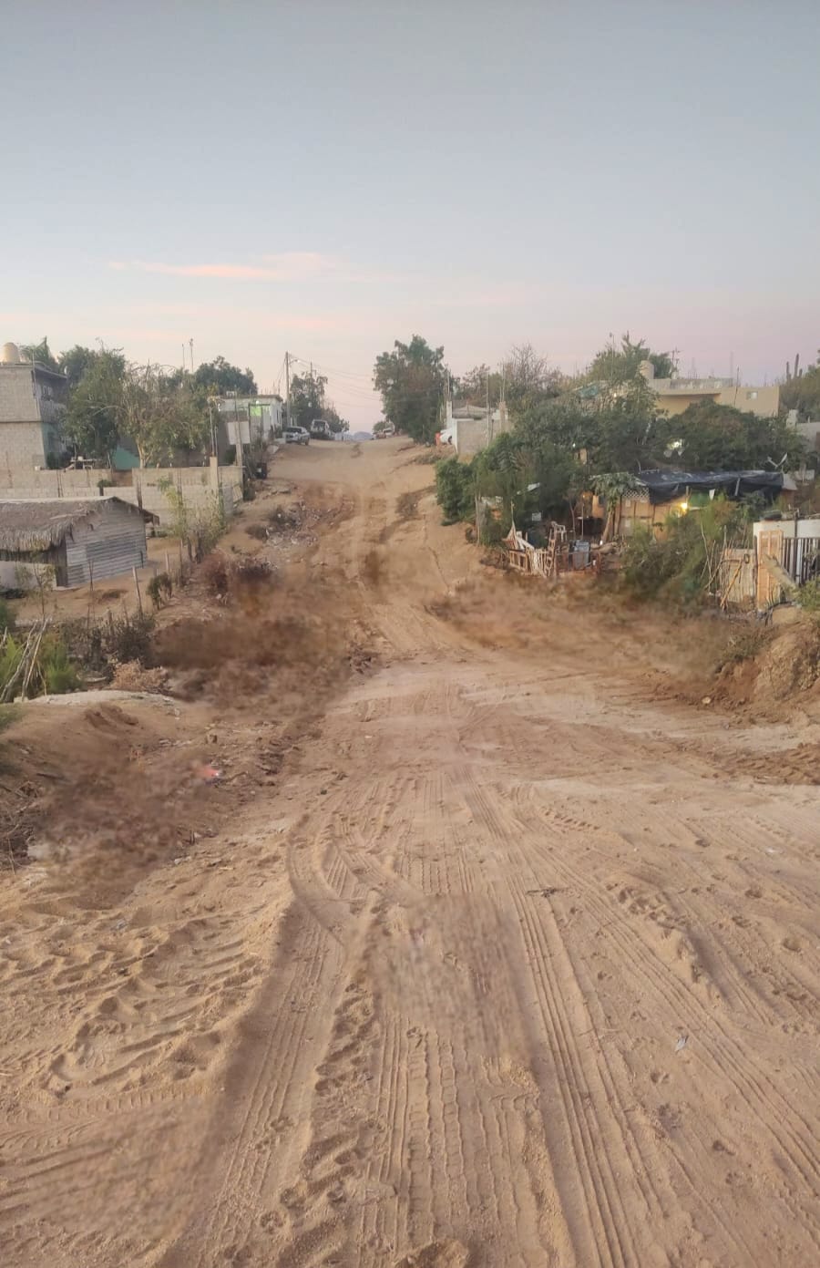 Realizan limpieza de calles y esterilización de mascotas en Santa Anita
