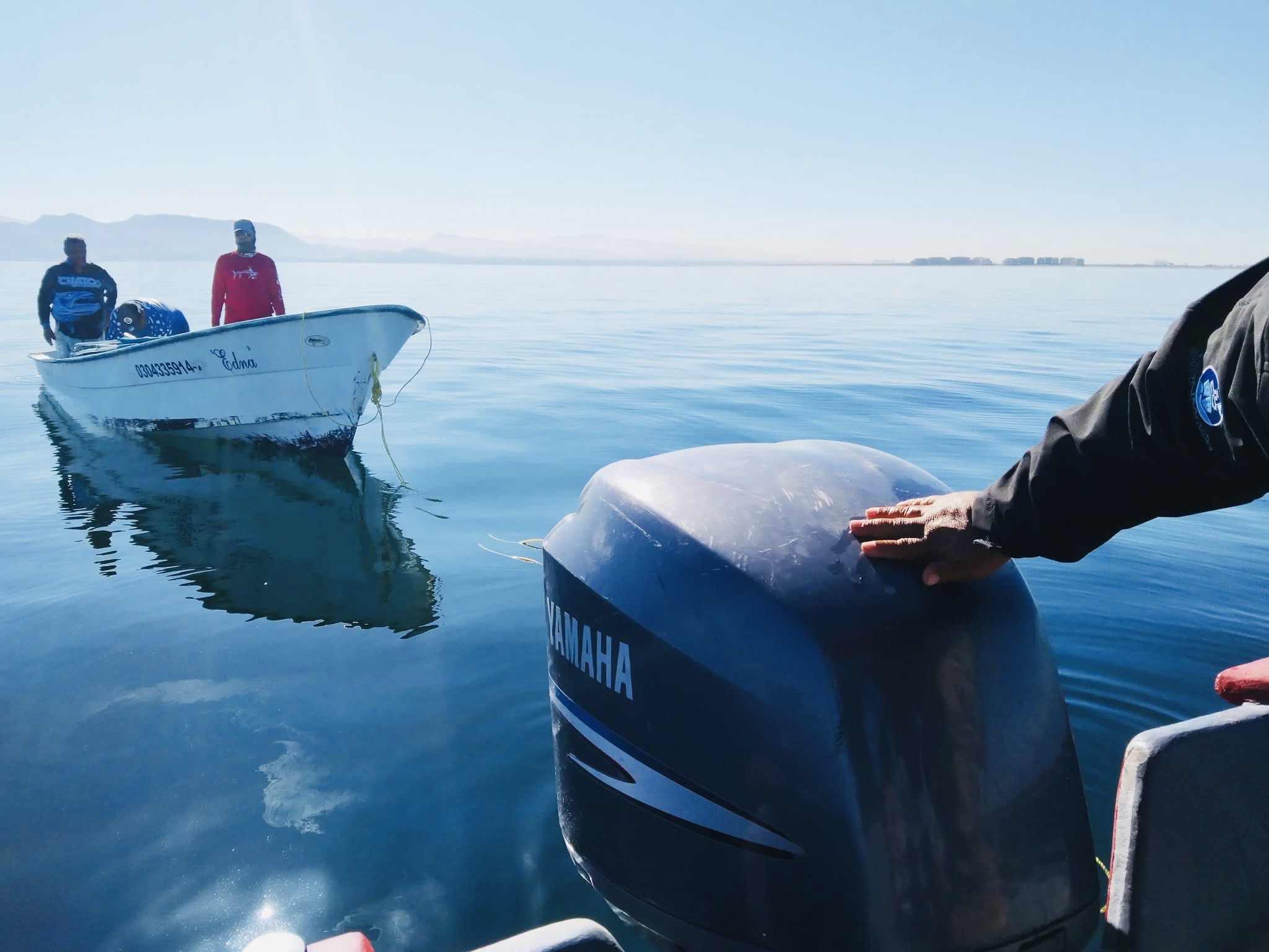 Realizarán un estudio de la pesca deportiva en los cinco municipios de BCS