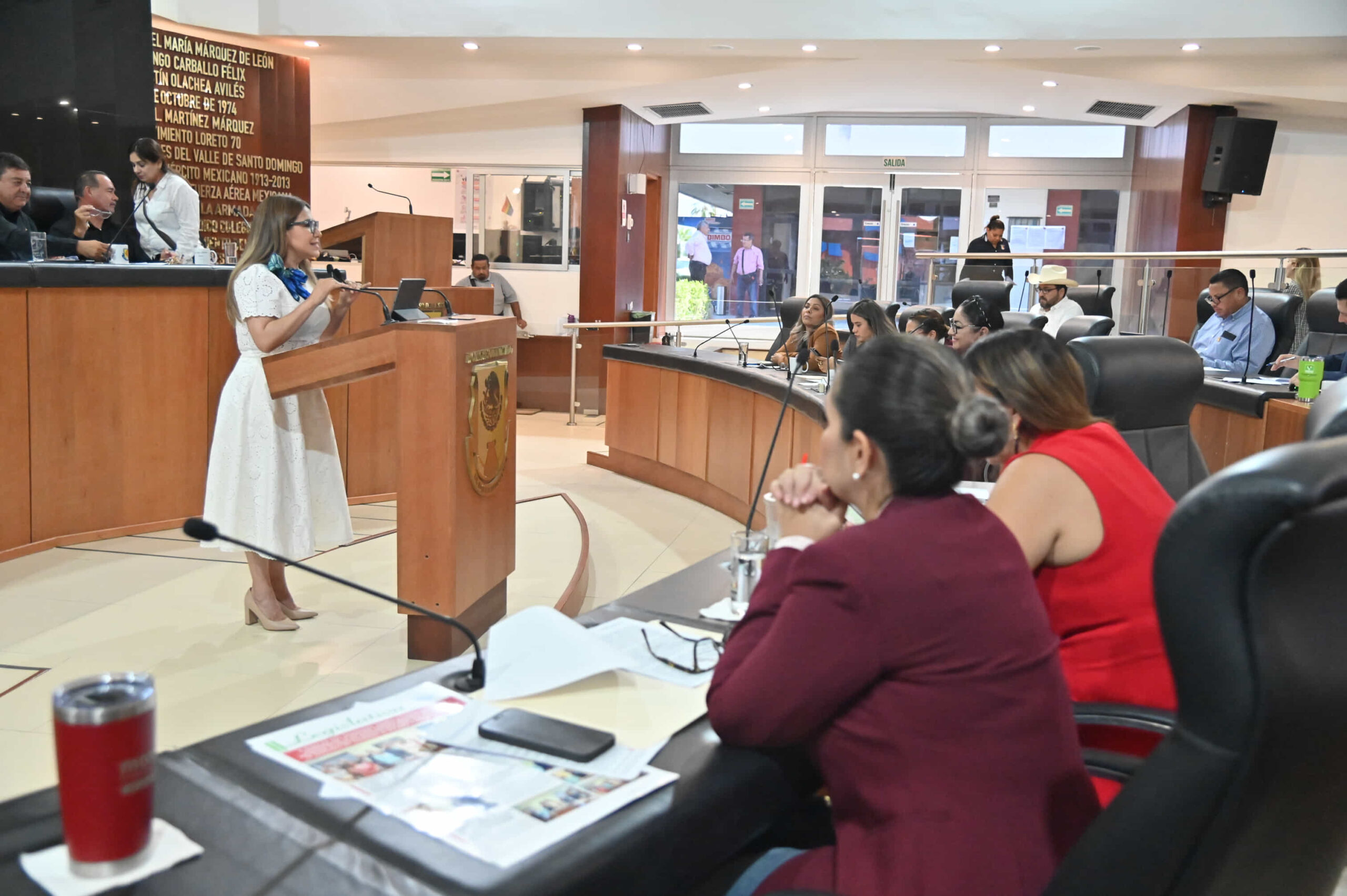 Propone Lupita Saldaña elevar a rango constitucional el derecho a la protección civil