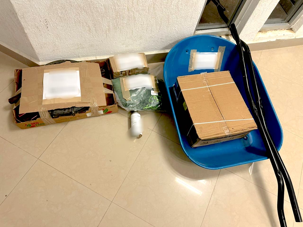 Seguridad Pública de Los Cabos logra detención a dos masculinos por presunto robo a lugar cerrado