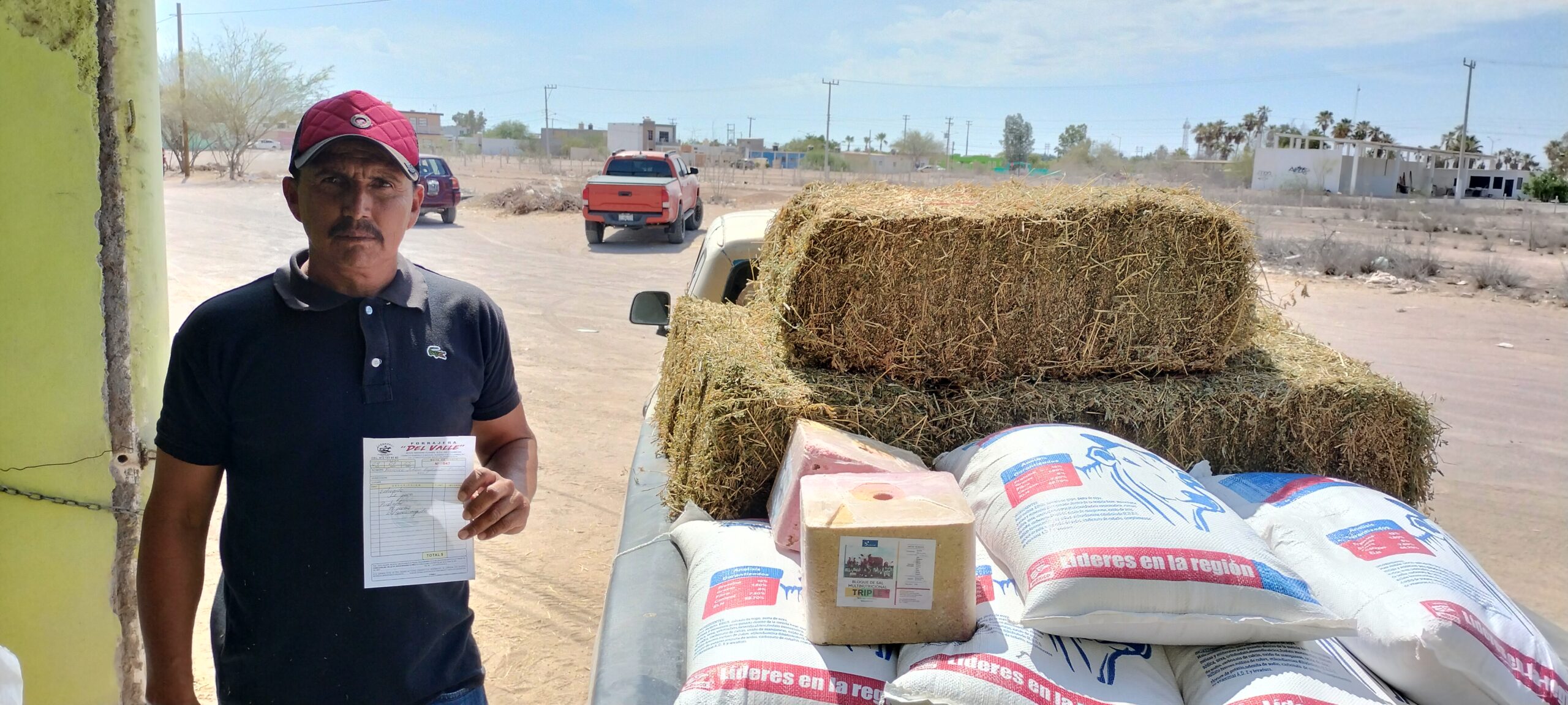 Gobierno de BCS fortalece al sector ganadero con recursos por más de 30 mdp frente a la sequía