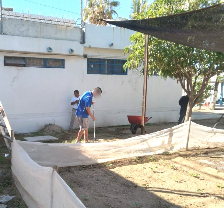 Impulsan actividades formativas para fortalecer la reinserción social de adolescentes en el CIEA
