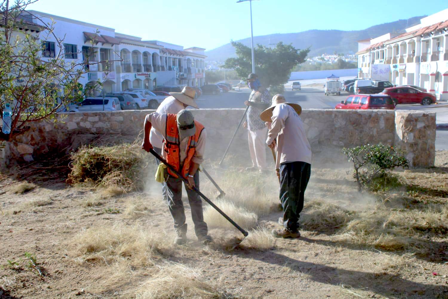 Refuerzan trabajos de mantenimiento para mejorar imagen urbana en Los Cabos