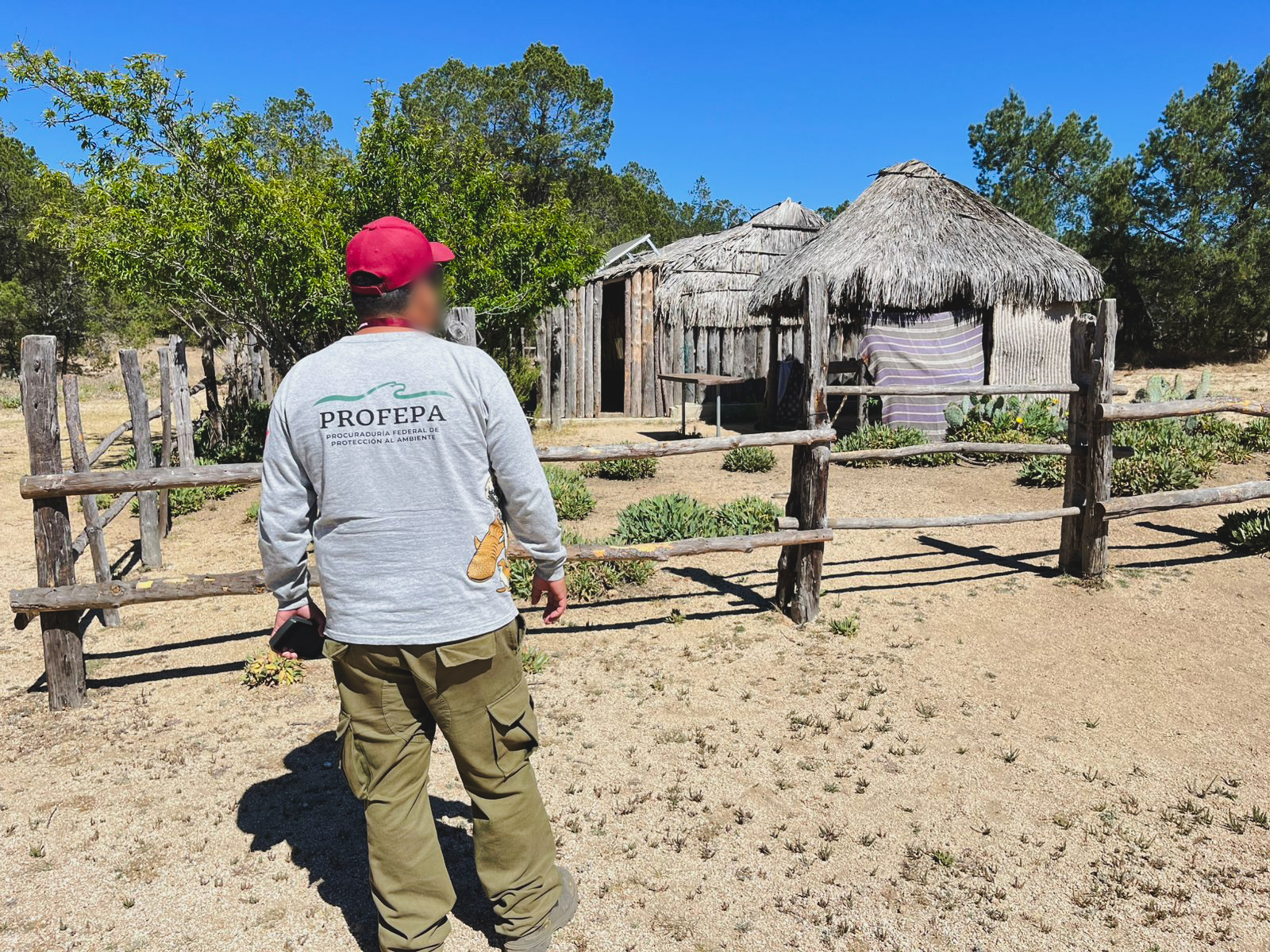 Mantendrán vigilancia en Sierra La Laguna tras reportes ciudadanos y denuncias ambientales
